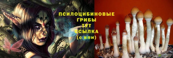 PSILOCYBIN Баксан